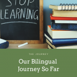 Our Bilingual Journey So Far
